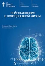 infosklad_org_attachments_c7d27b285ed0e32af23c80fbc3278360_jpg_16340__.jpg