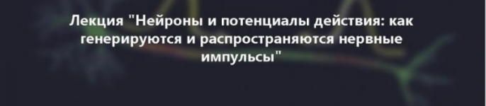 AK67LDfc.png