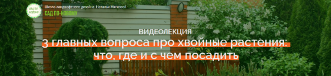 AK67LDfc.png
