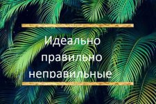 45931_0.jpg