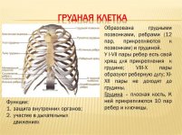 Screenshot_2.jpg