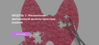 .png
