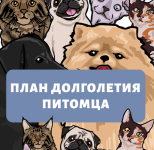 1660556556339.png