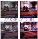 Безымянный.jpg